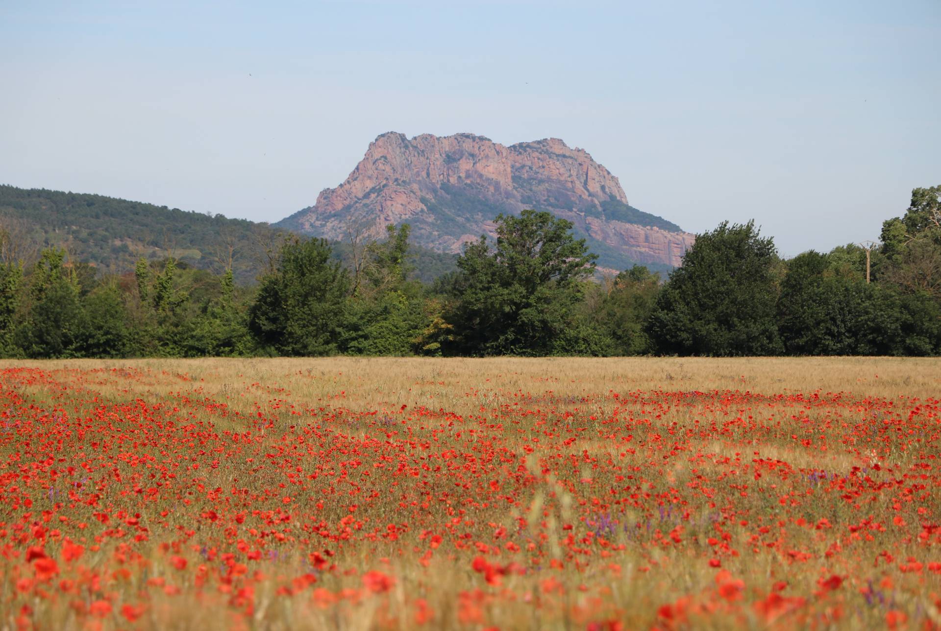 Maison et appartement  vendre avec l'agence immobilire Ottonello  Roquebrune sur Argens