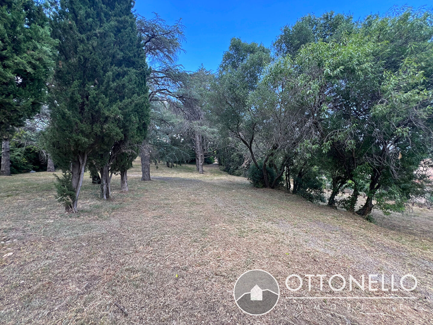 Terrain - ROQUEBRUNE SUR ARGENS