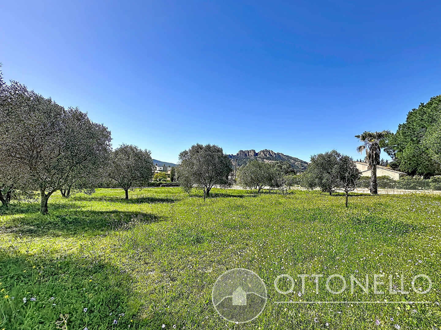 Terrain - ROQUEBRUNE SUR ARGENS